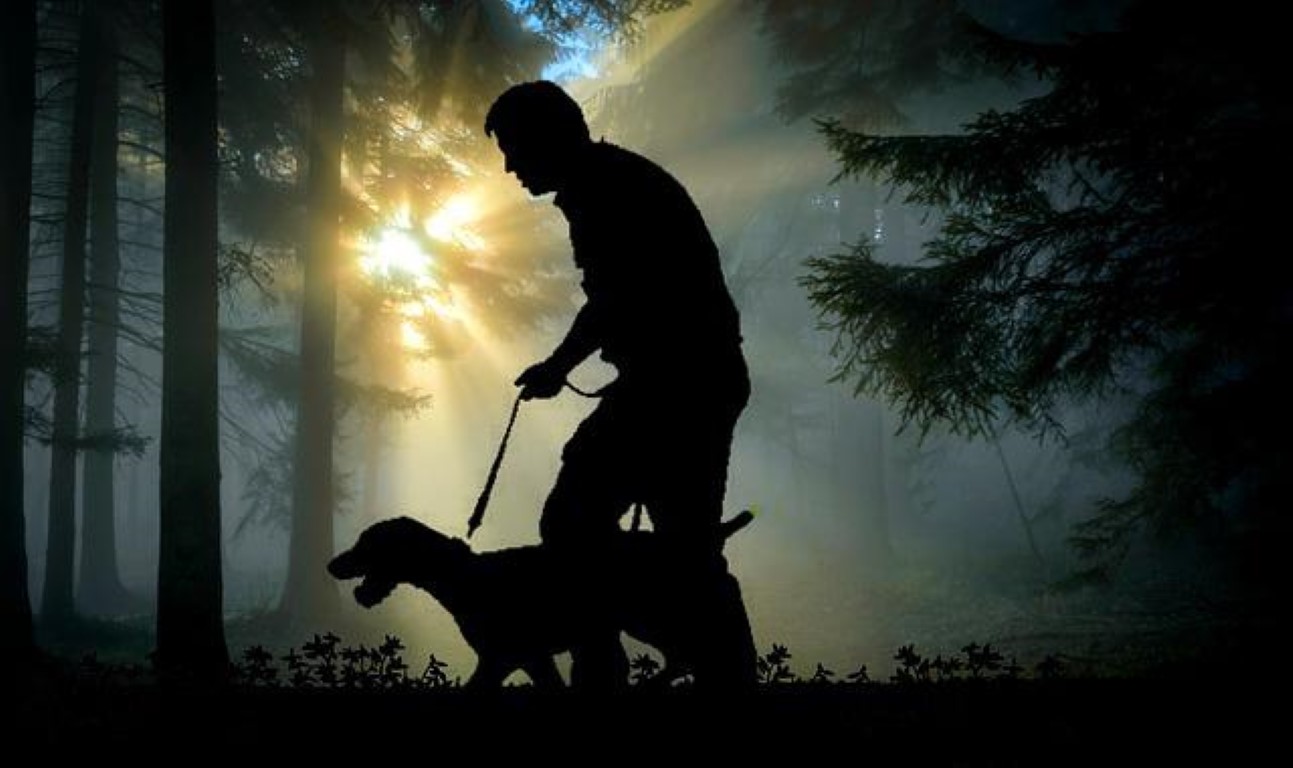 hunting with a dog at dusk