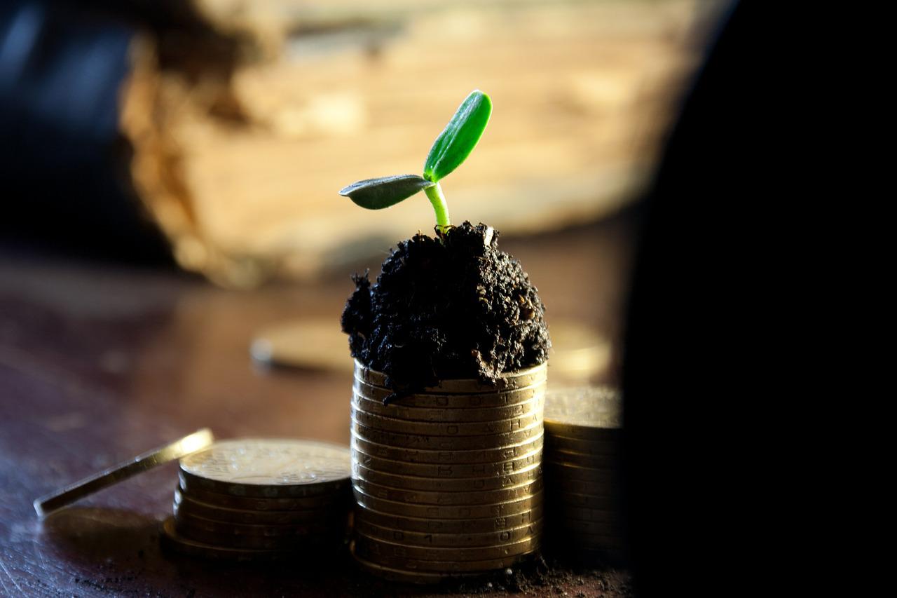 pile of coins growing 