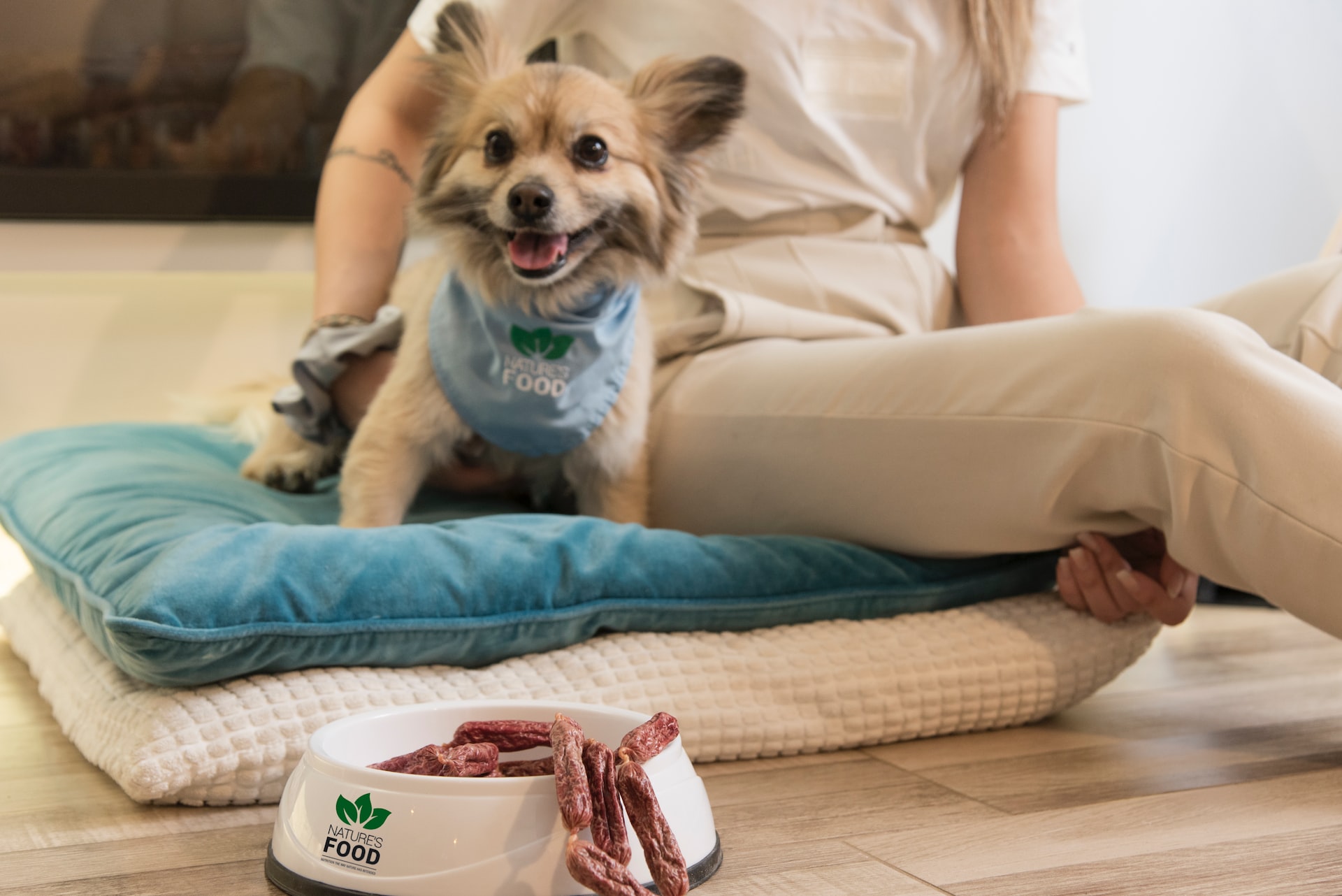 happy looking dog ready to eat