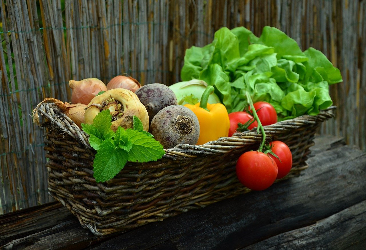 veggies harvested from a garden