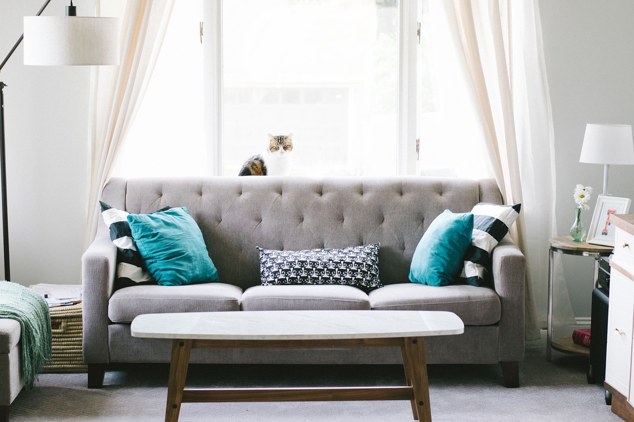 small couch in a clean living room