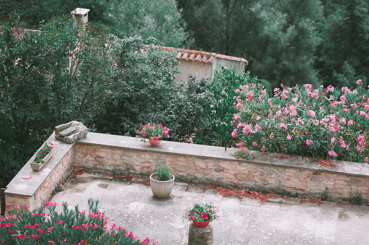 nice flowers and plants around a patio area