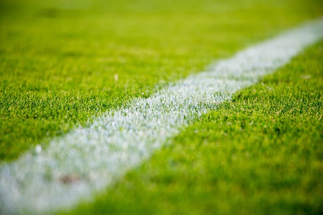 close up of marked grass on a playing field