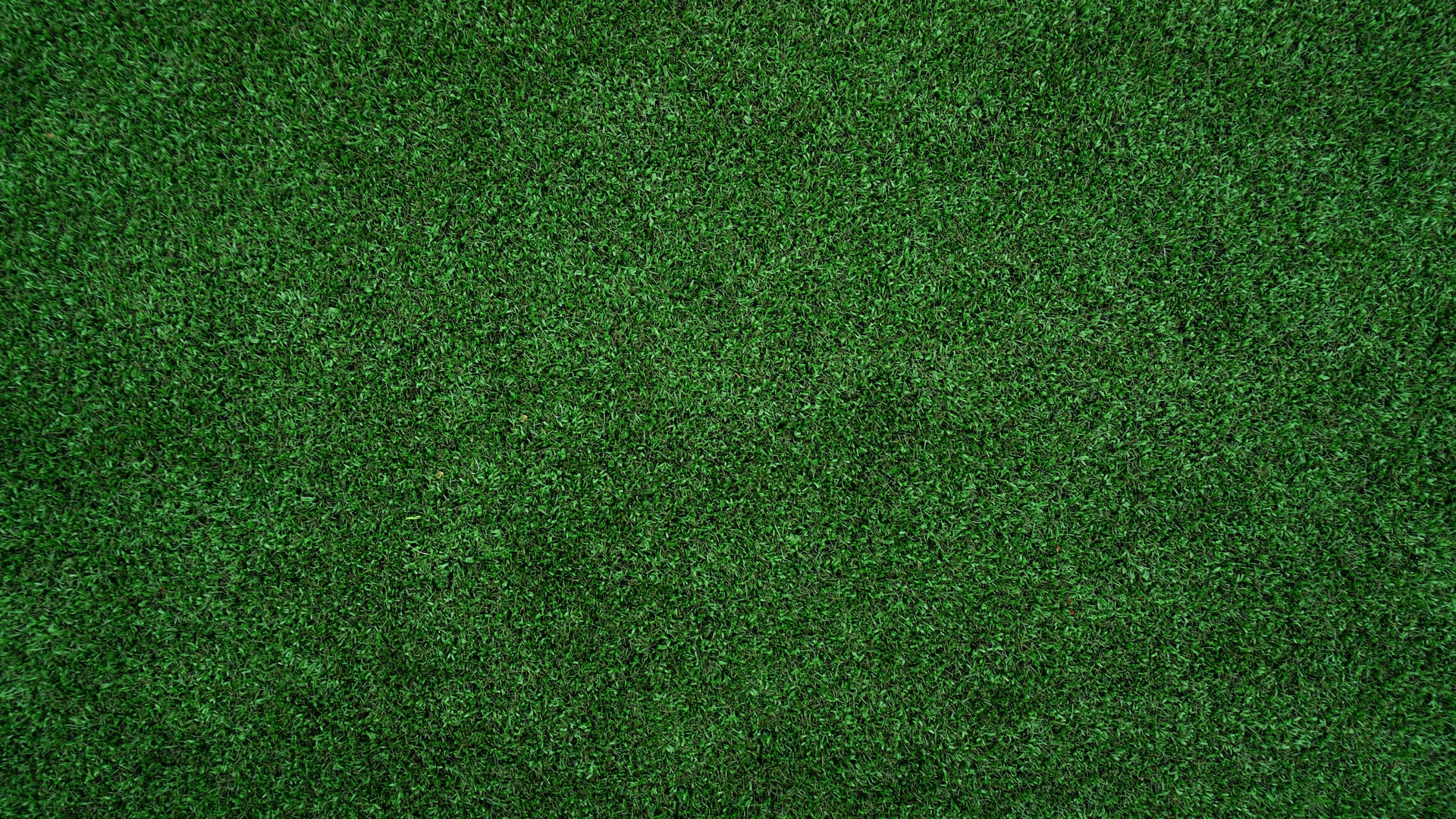 full image of rich green turf