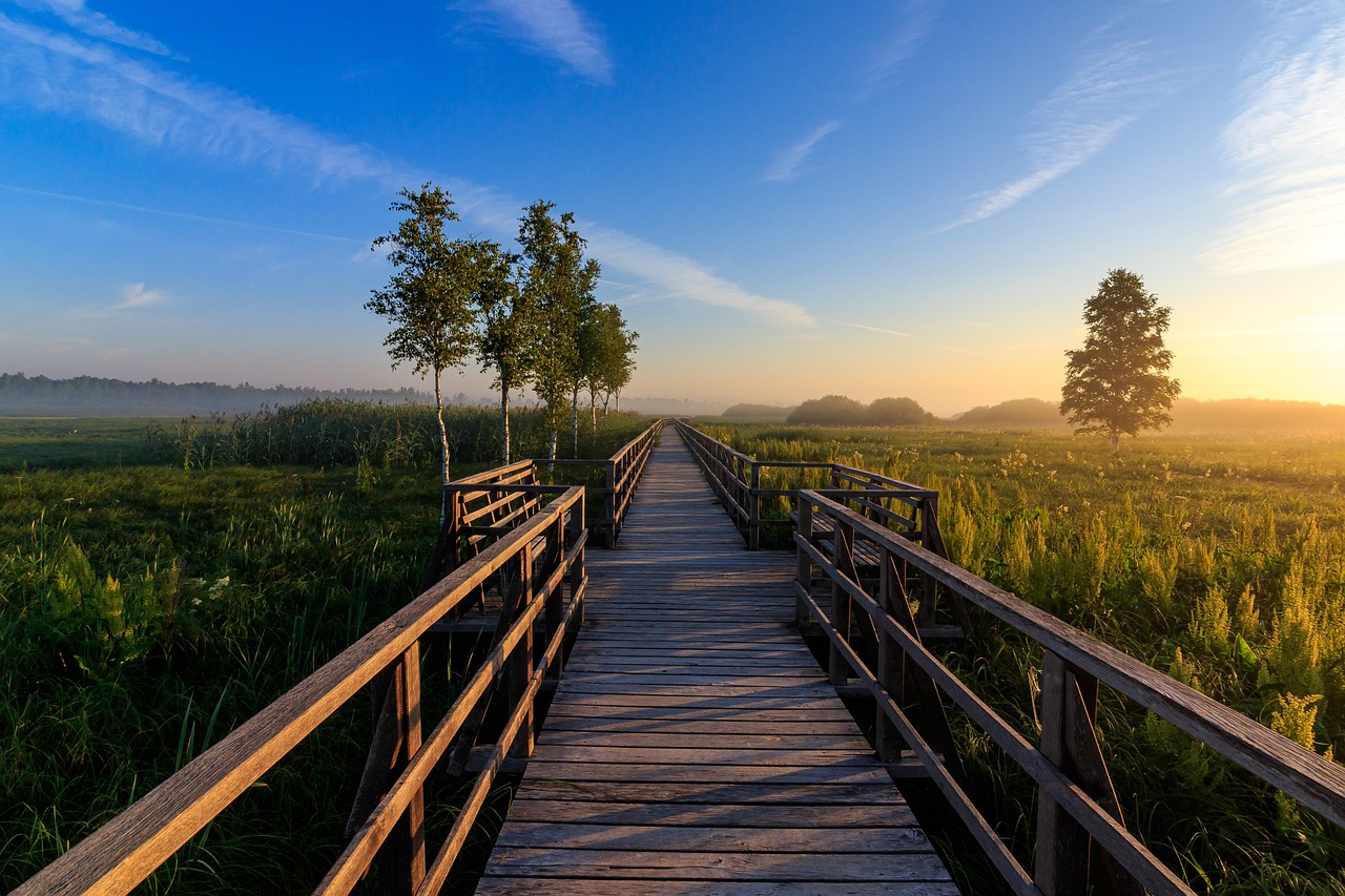 long bridge outside