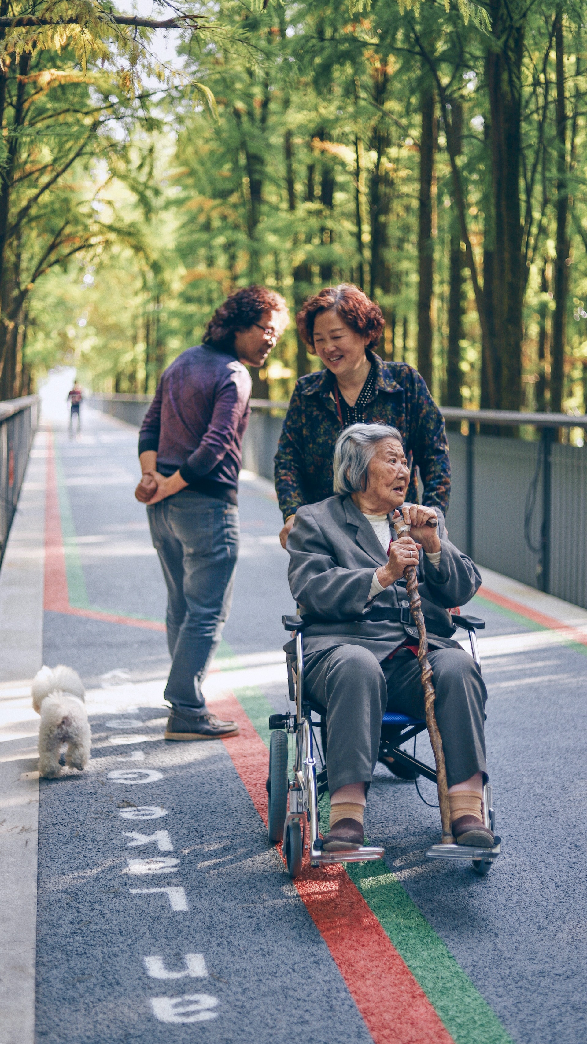 walking on a path with an elderly relative in a wheelchair