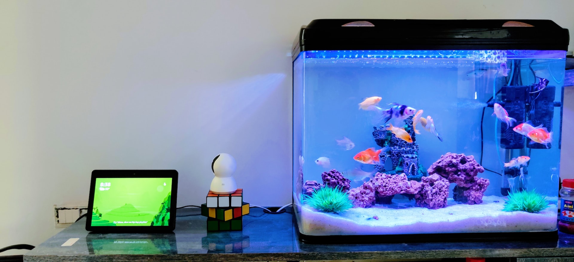 fish tank on a table with a tablet beside it