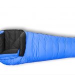 Feathered Friends Snowbunting EX 0